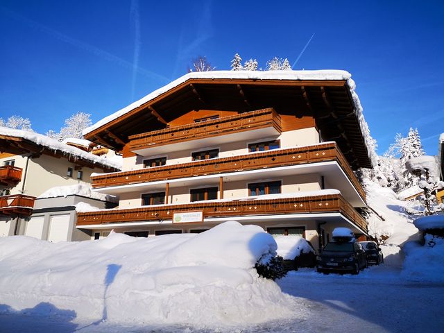 Sportchalet Viehhofen Ferienhaus
