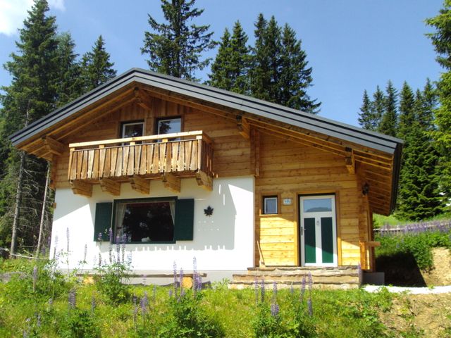 Ferienhaus in Lachtal ADA-STM